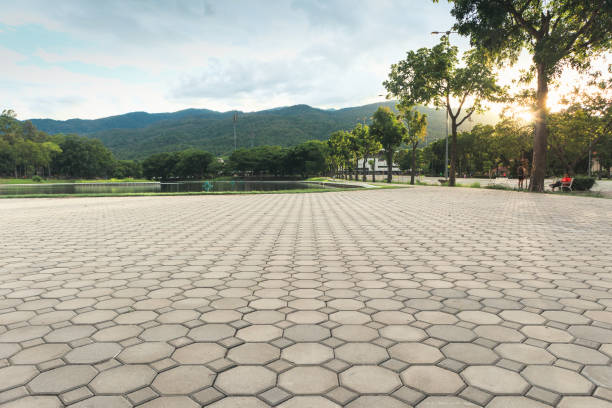 Best Residential Paver Driveway  in Alexandria, VA